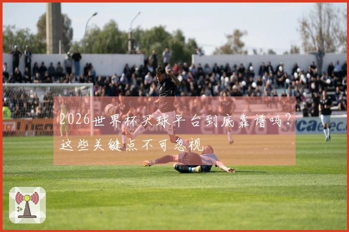 2026世界杯买球平台到底靠谱吗?这些关键点不可忽视