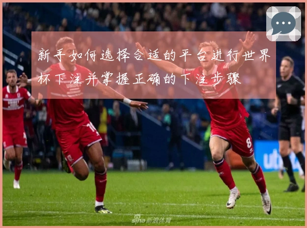 新手如何选择合适的平台进行世界杯下注并掌握正确的下注步骤